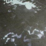 http://xzwc64291591.lightizm.com/files/gimgs/th-76_71_Nostalgia1_v2.jpg