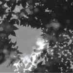 http://xzwc64291591.lightizm.com/files/gimgs/th-76_71_Nostalgia2_v2.jpg