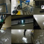 http://xzwc64291591.lightizm.com/files/gimgs/th-76_71_Nostalgia4_v2.jpg